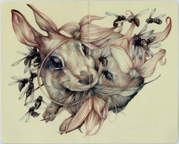 Животные рисунки