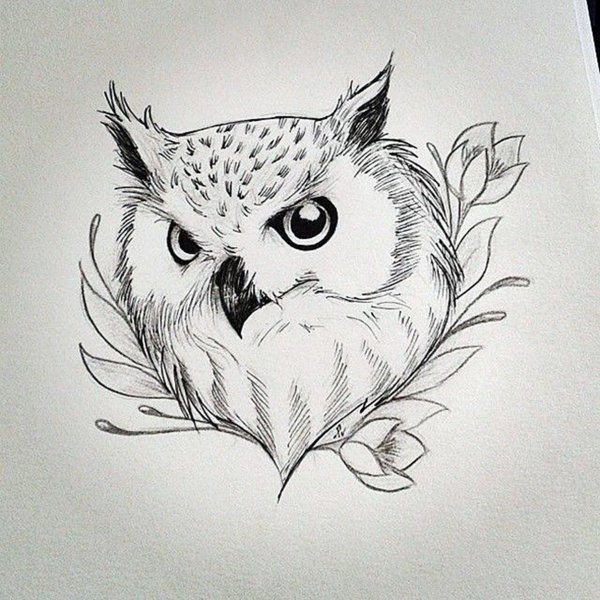 Филин эскиз