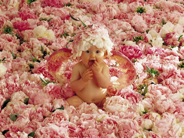 Цветы для девочки