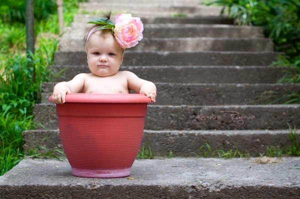 Цветы радости жизни