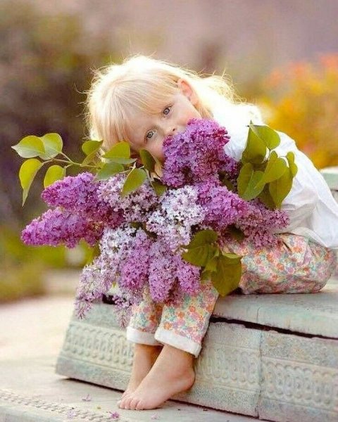 Анна Геддес открытки