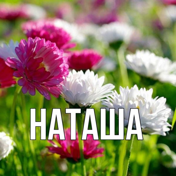 Цветы для Аллочки