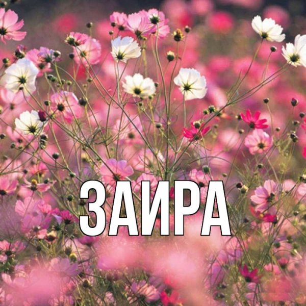 Таня надпись