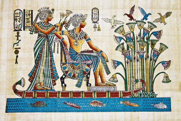 Лотос Египет Папирус