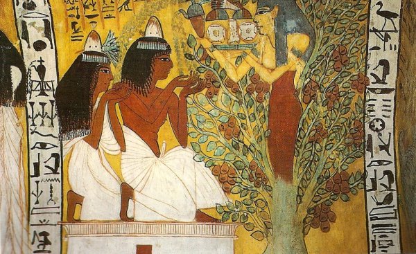 Древний Египет нимфеи нимфея