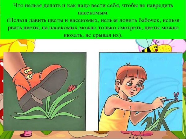 Что нельзя делать