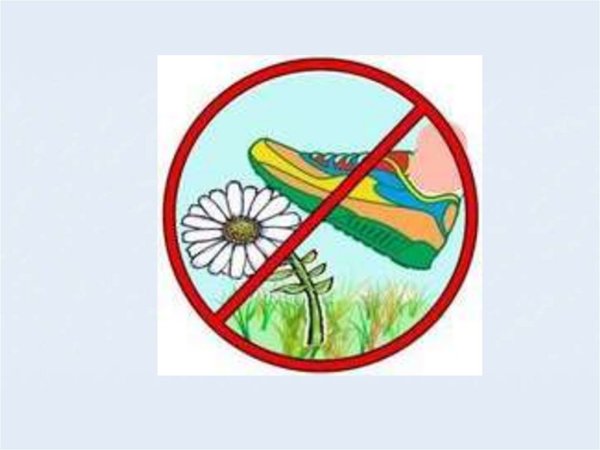 Не топчите растения