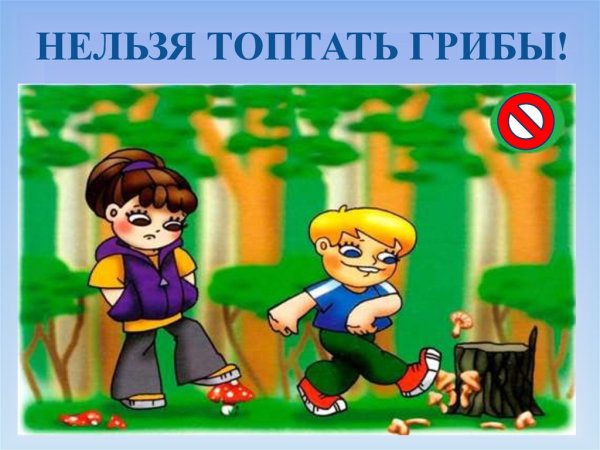 Знак не срывать цветы