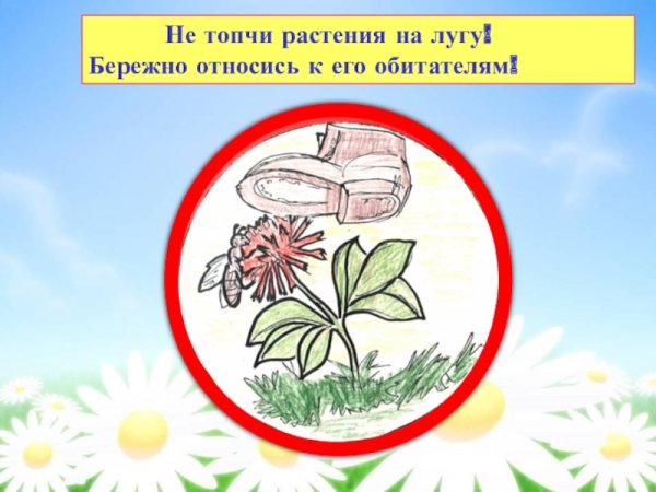 Плакат береги растения