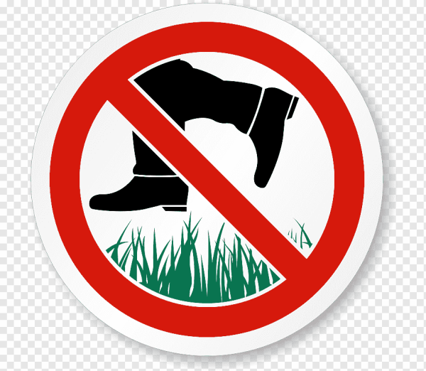 Нога топчет цветок