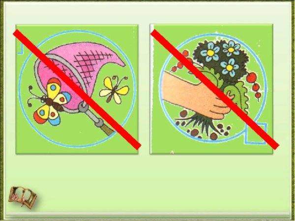 Запрещающие знаки в природе