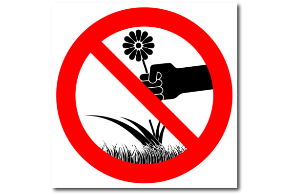 Нельзя ходить по газону