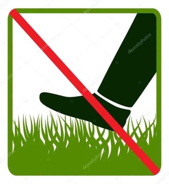 Экологические знаки для детей в картинках