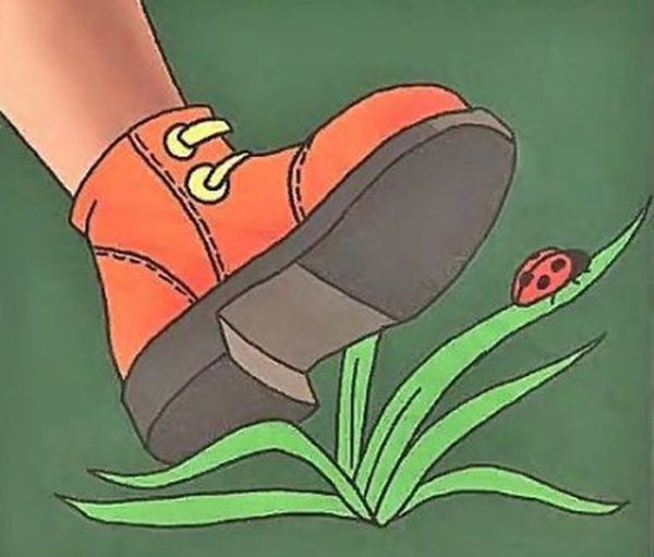 Охрана растений для детей