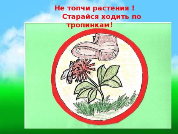 Знак не рвите растения