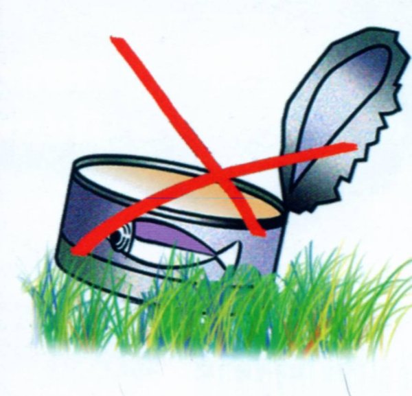 Не ловите насекомых