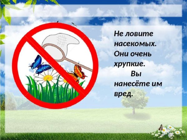 Топтать газон