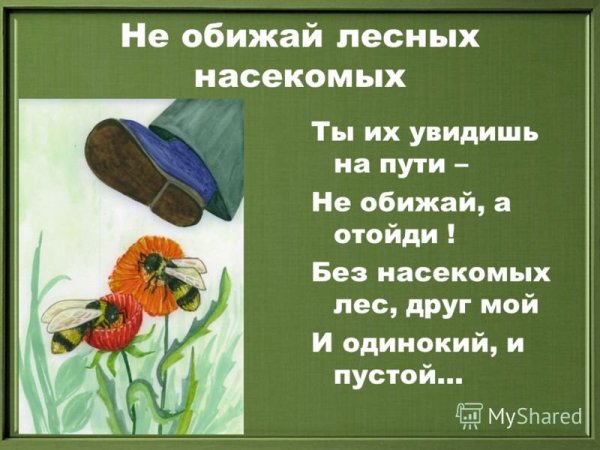 Условные знаки правил поведения в природе