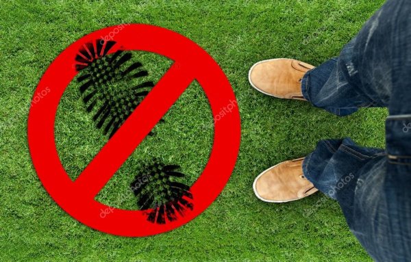 Нельзя топтать ядовитые грибы