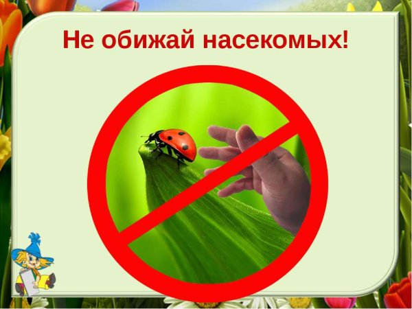 Природоохранные знаки для дошкольников не ломайте ветки деревьев