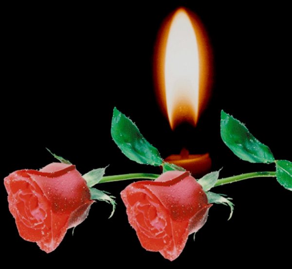 Траурные цветы