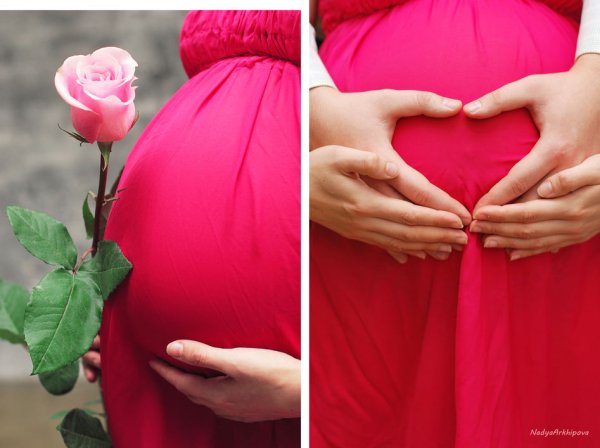 Беременные в ромашках