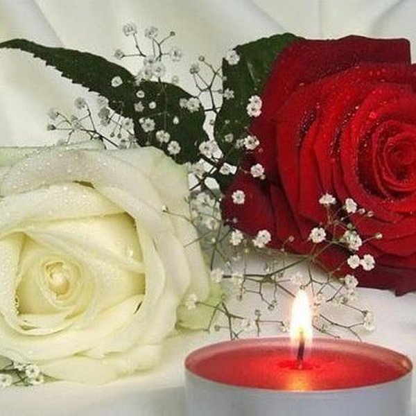 Светлая память цветы