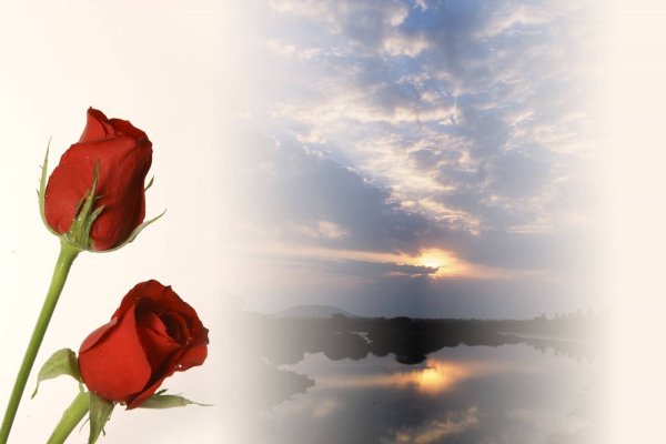 Светлая память