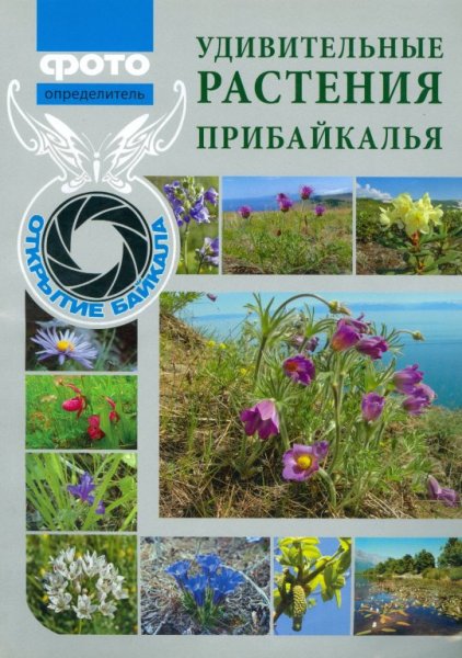 Растительный мир Прибайкалья