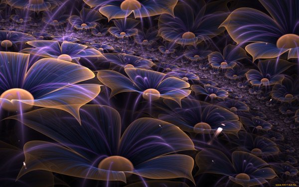 Магические цветы