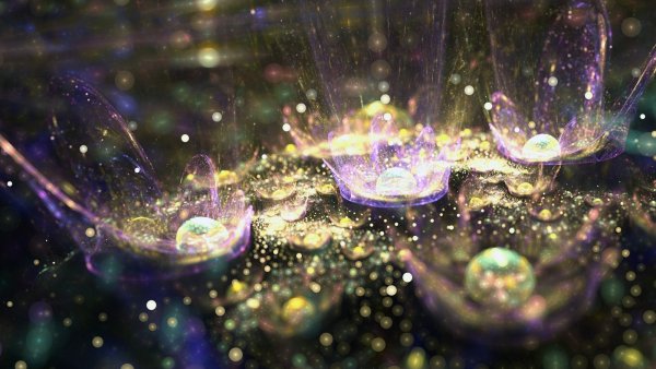 Сказочные цветы