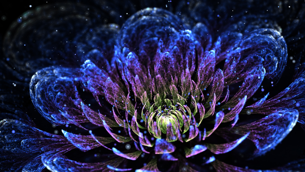 Космические цветы