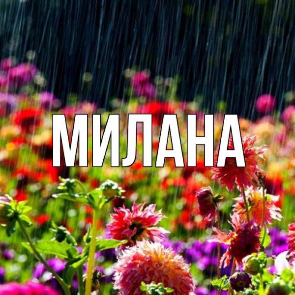Илана картинка с именем
