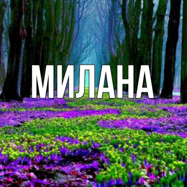 Цветы для Машеньки