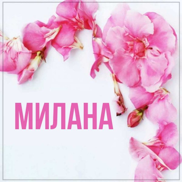 Цветы для Миланы