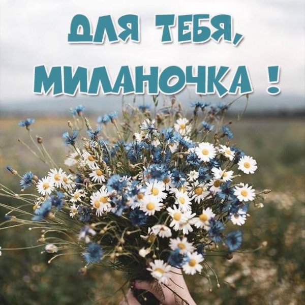Цветы для Миланы