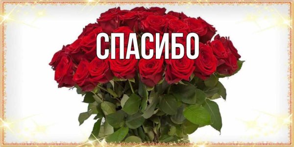Букет цветов для Миланы