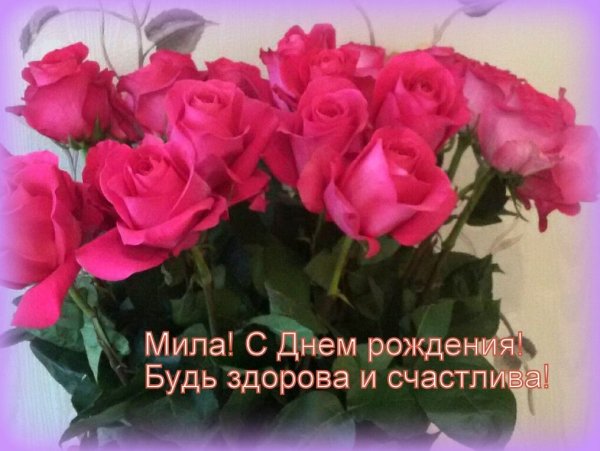 Цветочная Лавка в Италии