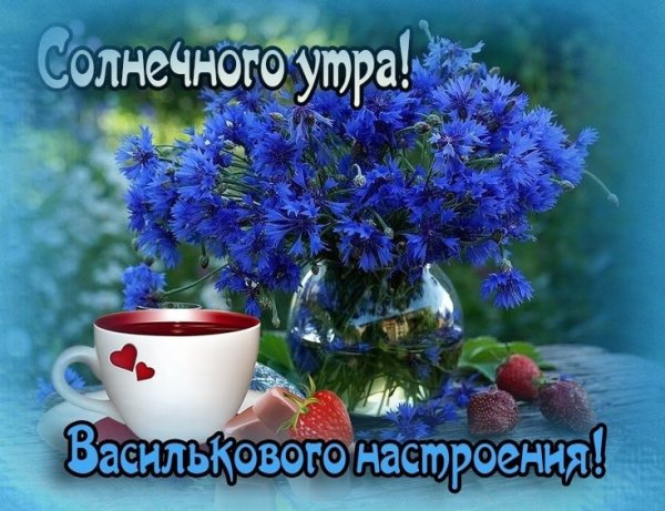 С добрым утром с васильками