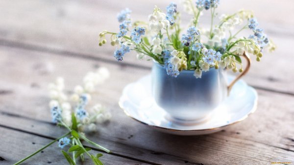 Весеннее утро