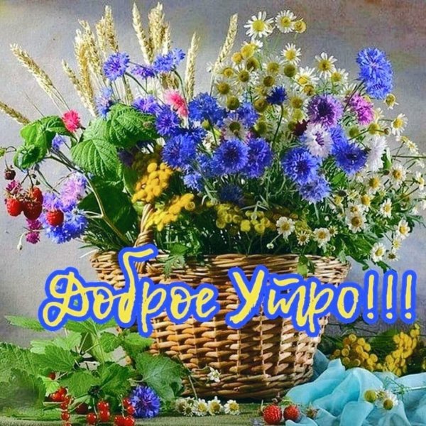 Доброе Цветочное утро