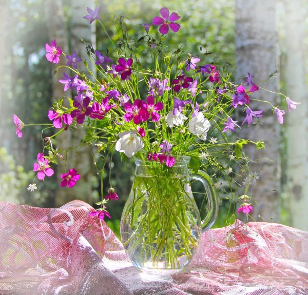 Лето ромашки