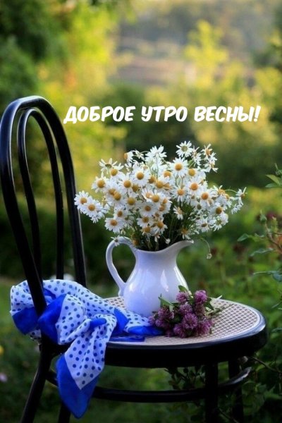 С добрым утром летние цветы