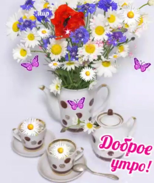 Прекрасного летнего дня