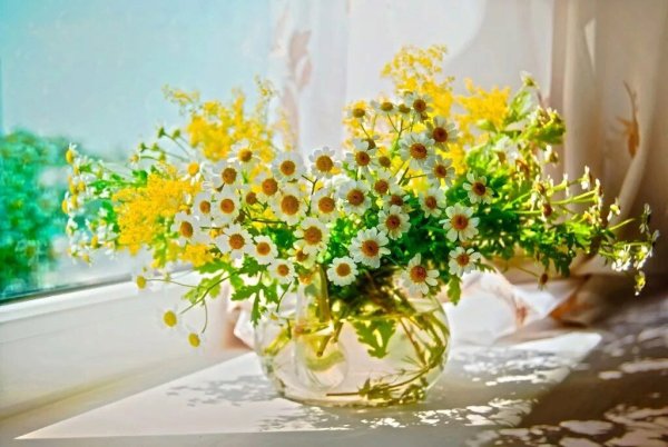 Букет полевых ромашек