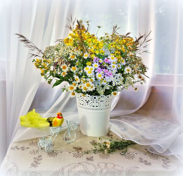 Ромашка радости