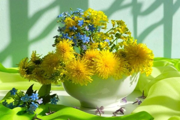 Летнее настроение