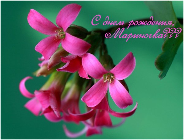 Мариночке открытки