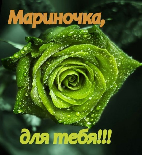 Открытки с розами