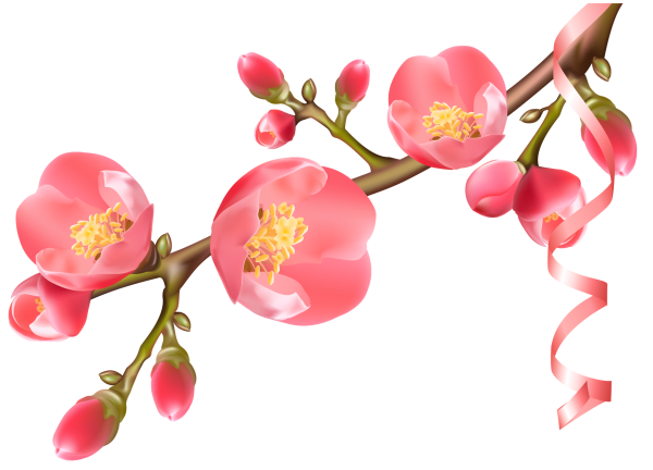 Цветы на ветке